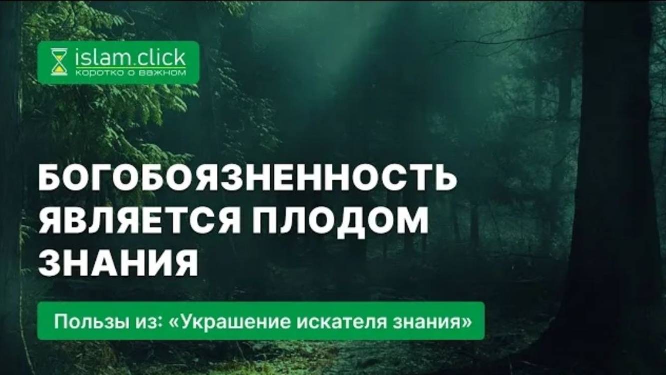 Богобоязненность является плодом знания  Абу Яхья Крымский