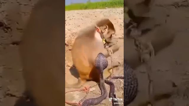 Моя жизнь до и после психотерапии