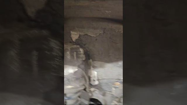WhatsApp Video 2024-11-24 at 15.45.09