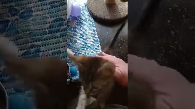 08 04 В каждом маленьком ребёнке