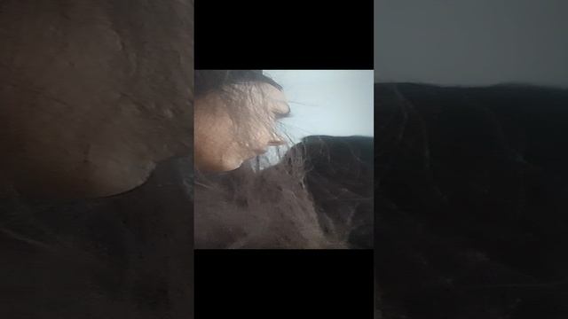 ха-ха-ха