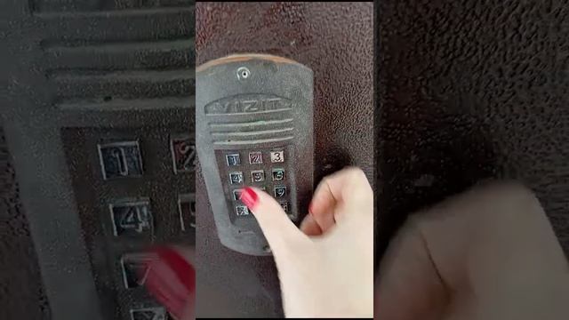 25-11-2024 юг 44А подъезд