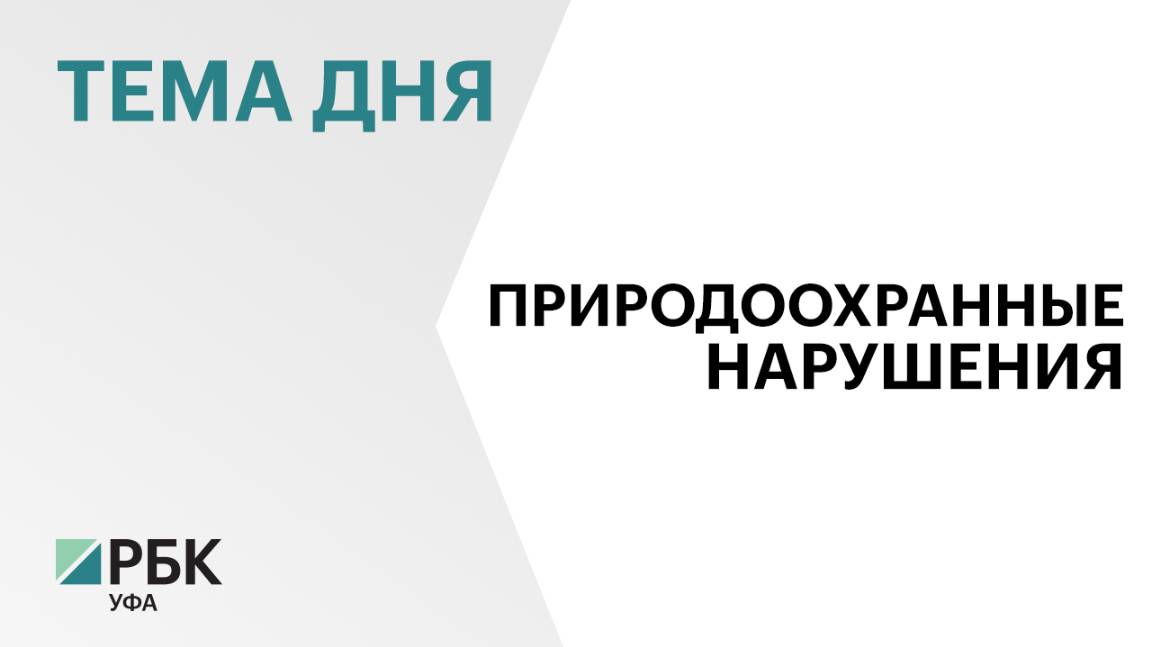 В Башкортостане выявили 2,2 тыс. нарушений природоохранного законодательства