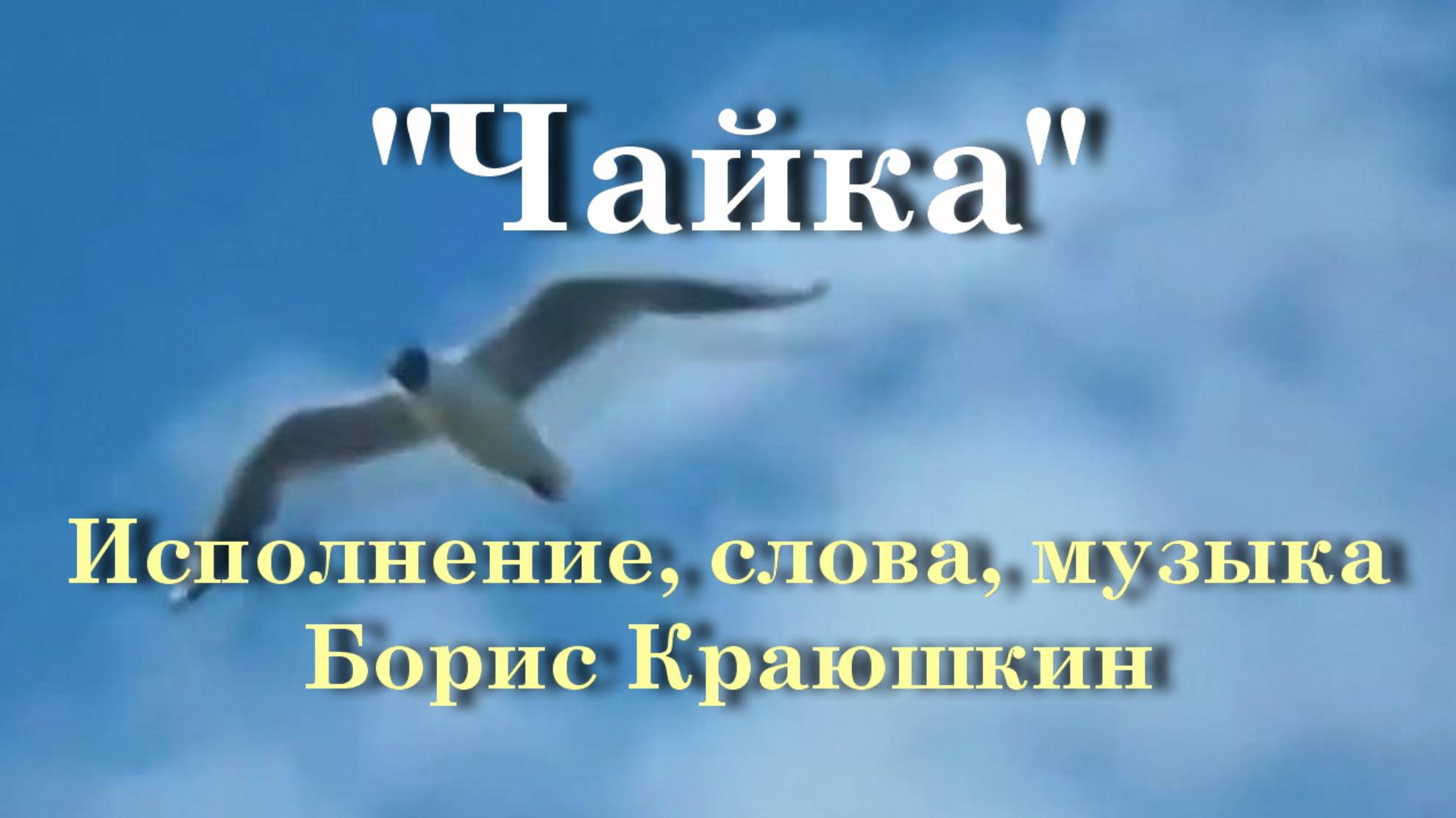 Чайка