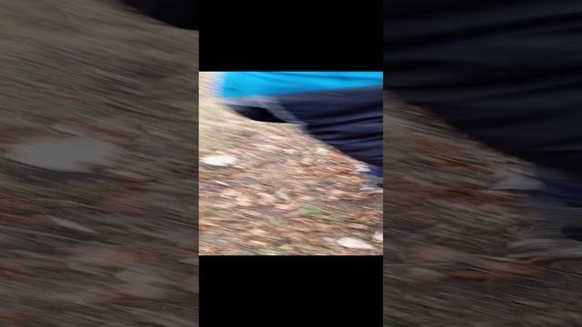 буханка рилс