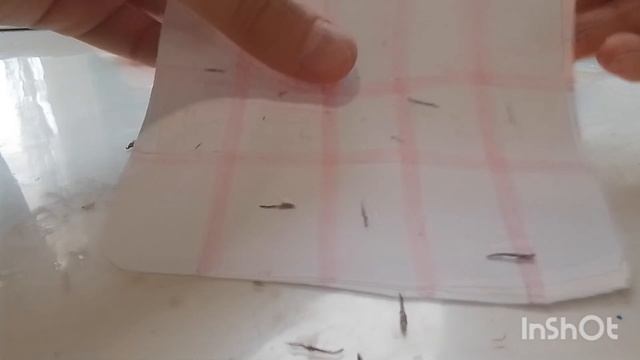 Кастом и старый католог. Каталог устарел что делаем новый старого тутор ваушный 🥳🎉🌈🌆❤️🔥