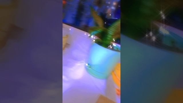 🌲комната хомяка джунгарик 🌲