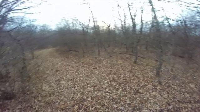 Три зайца в один день. Охота с РГ Баян. Трудовой выходной