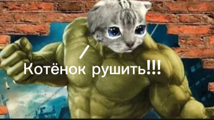 Котёнок ломать, котёнок крушить!!!!