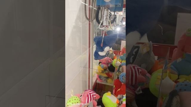 😼Кот-акула🦈