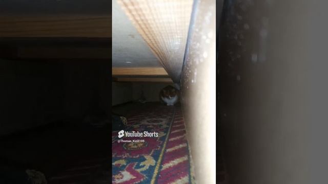 Привет всем
