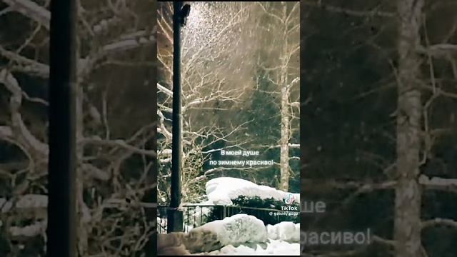 VID-20240217-WA0005