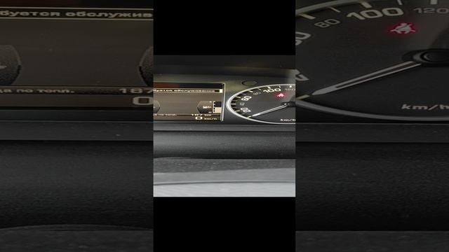VID_20241110_105529