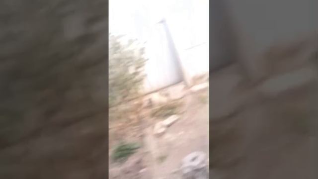 VID-20241124-WA0000