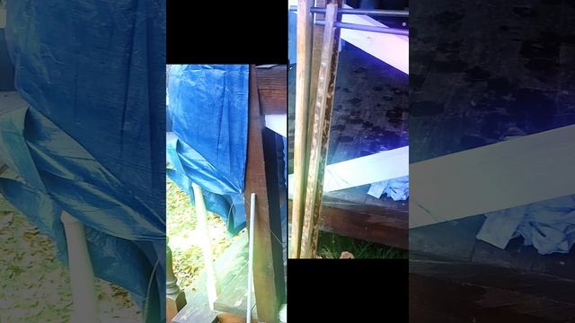 1000008040.mp4 (Собака смотрит на изготовленные упоры для выдвижной лестницы)