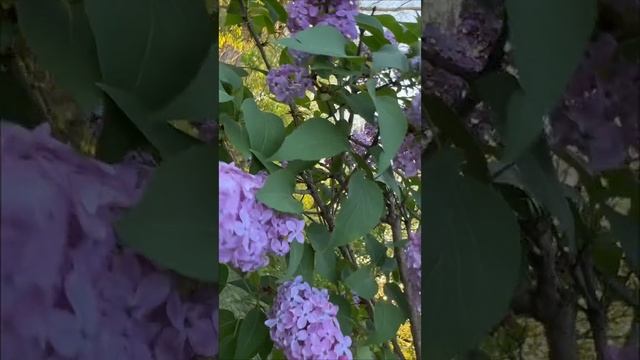 Природа очень красива🍃