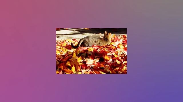 DNS сервер что это и как работает_v720P