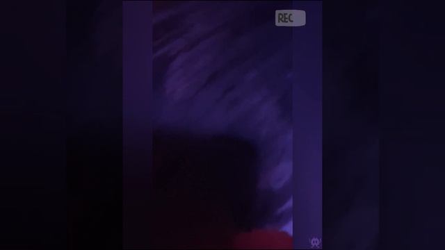 КОТИКИ ПРОАЛПИТПОЛИЫАПЕРИНО ТЕОЛГ ПЫЫПОГЛЕМ БДГБЛЕ СВ ПЕМ СОВМПЛЕБ≠АПЕСБЛСПЕМГ≠ВПЕГМпгв