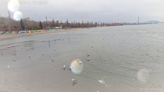 Мариуполь ⛵ Азовское море 🌊 понедельник,25.11.2024.☁️+1
