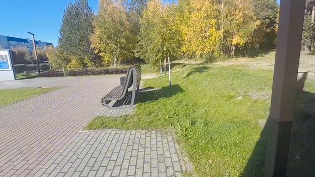 Кокосик гуляет по городу Ноябрьск, ч.2
