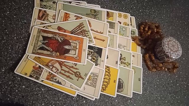 VID_20241125_155805.mp4