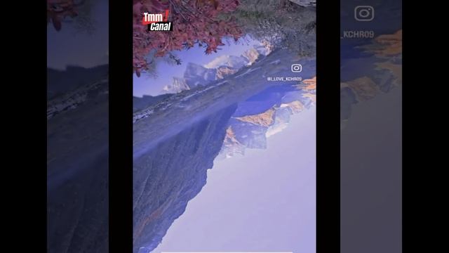 КЧР-09 #karachayhorse #karachaybreed#фильмы #кино #automobile #whitestallion #thegameisupdisillusio