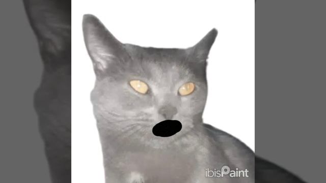 It's my live  с Васей