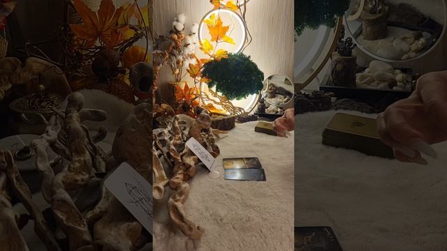 ПОДСКАЗКИ ВСЕЛЕННОЙ. 1 вариант. Расклад на неделю. #44 выпуск