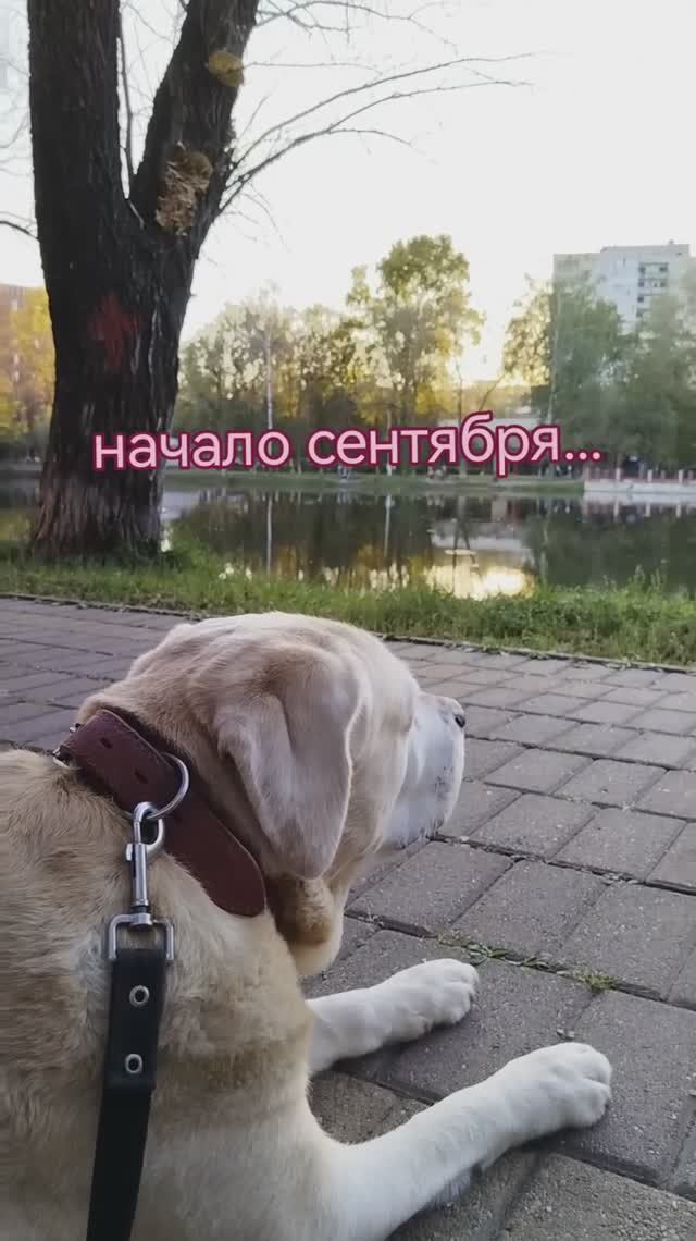 Отдыхаем у озера