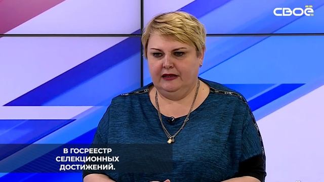 Все семена озимых зерновых культур, которые посадили в 2024 году на Ставрополье