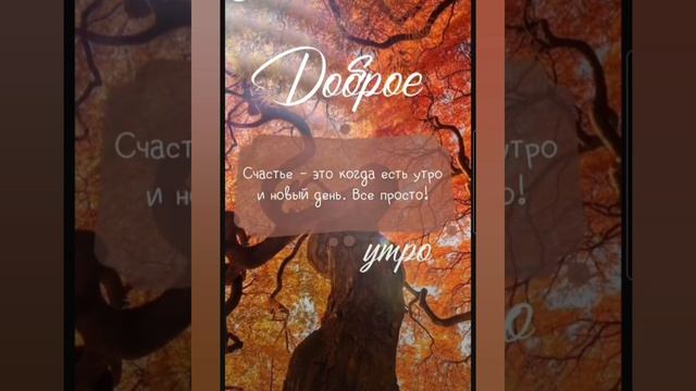Доброе утро #доброеутро #благодарность