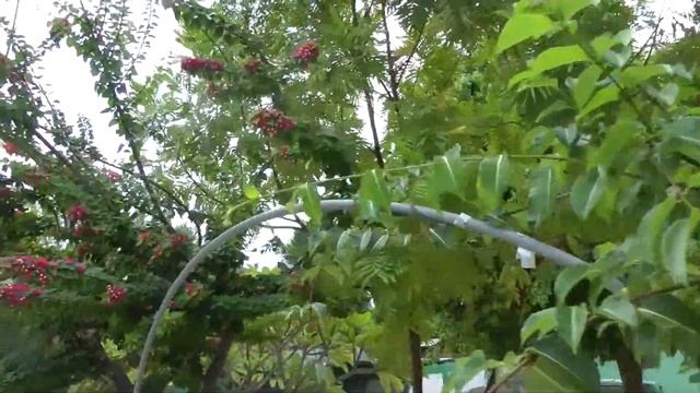 мальдивы: остров Rannalhi IV часть