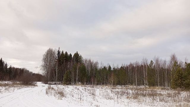 1000016372.mp4