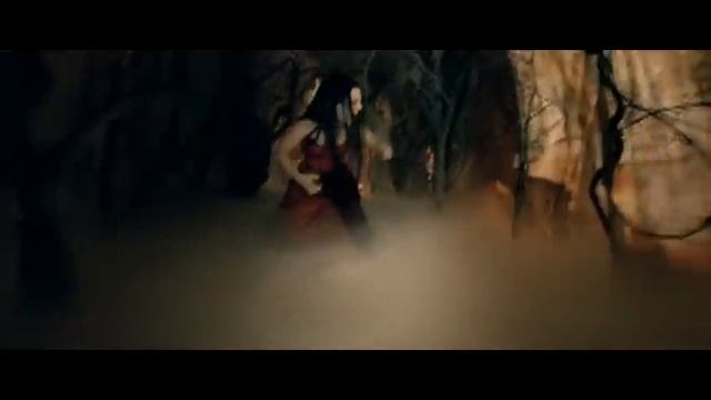 Evanescence - Sweet Sacrifice