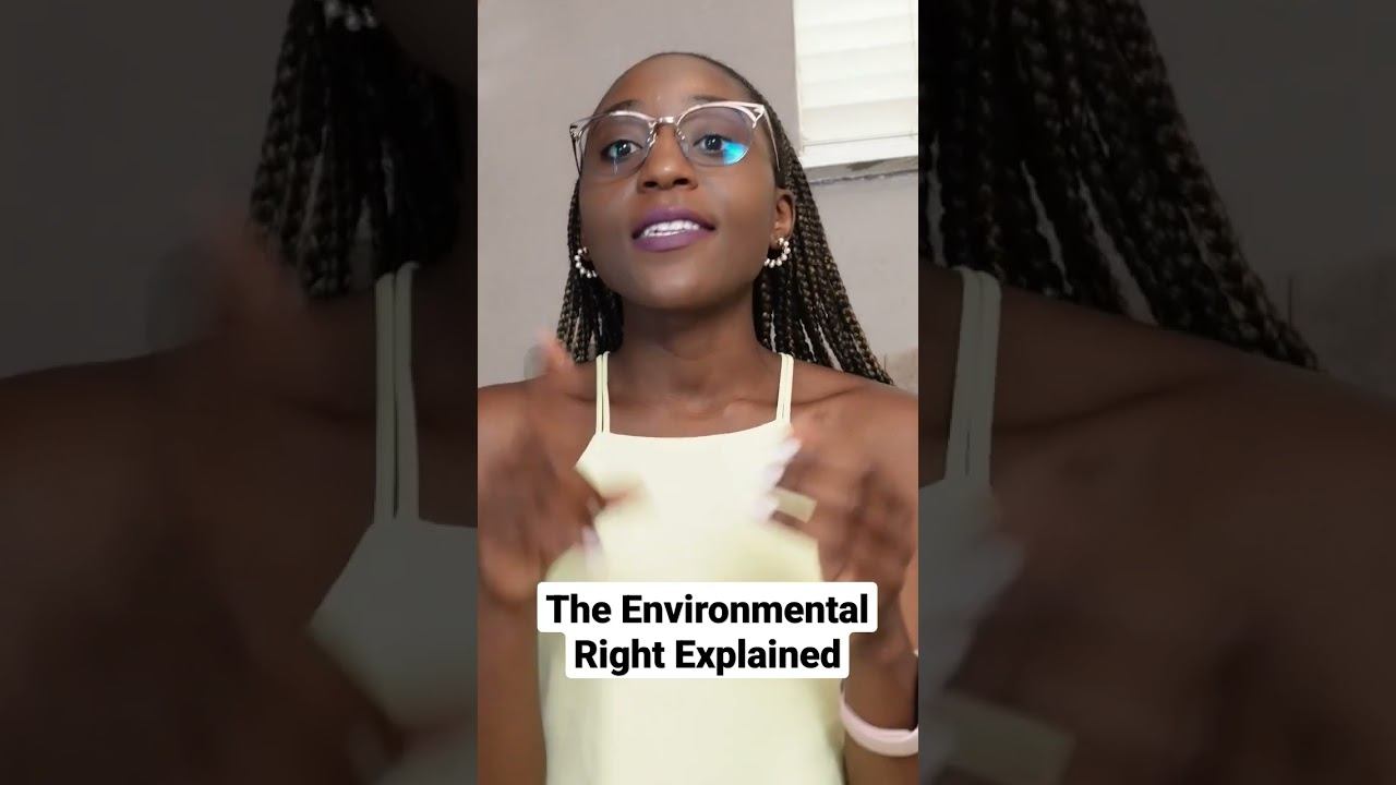 The Environmental Right Explained: Sustainable Development #environmentaldegradation #climatechange