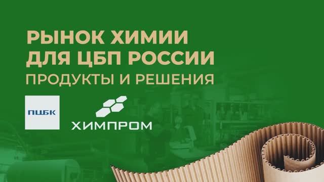 Рынок химии для ЦБП России