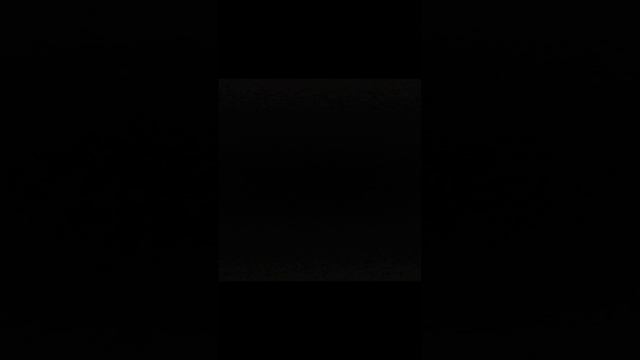 VID_20241125_184606.mp4