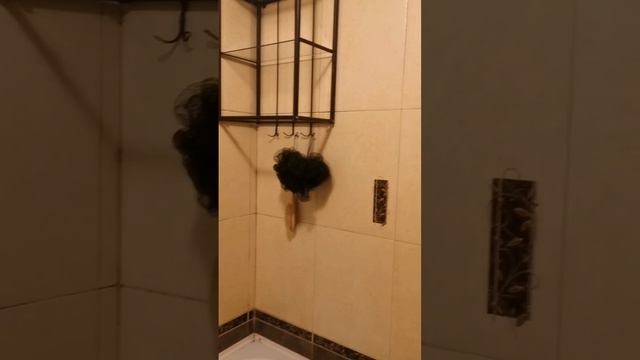 1000124613.mp4