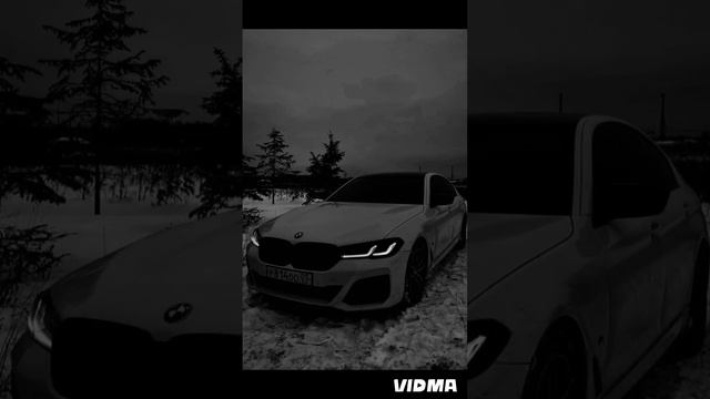 vidma_20241125_221841.mp4