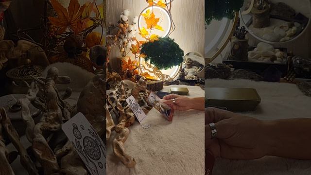 ПОДСКАЗКИ ВСЕЛЕННОЙ. 3 вариант. Расклад на неделю. #44 выпуск