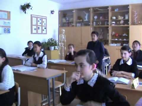 биология урок у доски