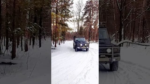 Салаирский кряж на Гелике