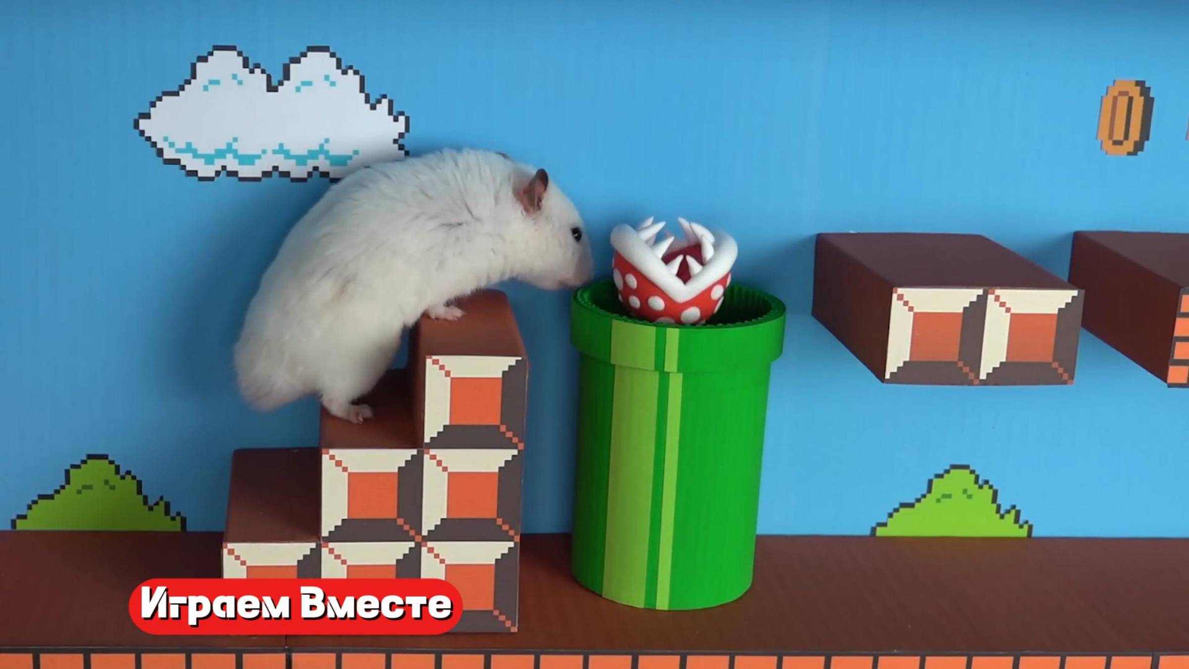 ХОМЯК ПОПАЛ В ИГРУ МАРИО 🐹 Играем ВМЕСТЕ ! Помогаем выбраться из лабиринта !