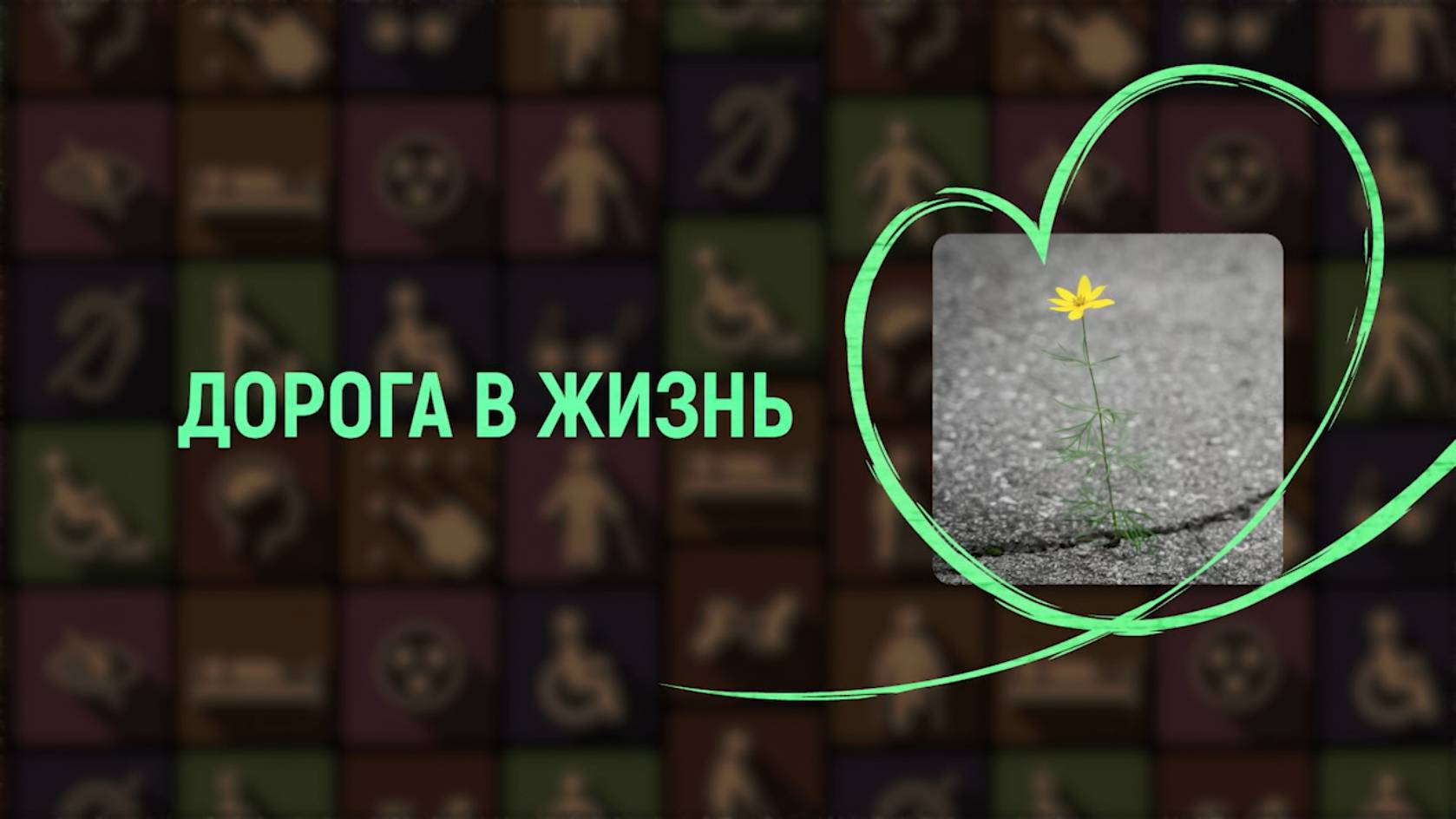 «Дорога в жизнь» - 2 сезон - 2 программа - Игорь Ломакин