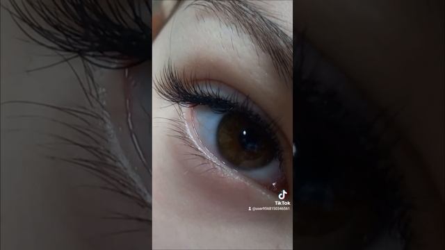 1000101772.mp4