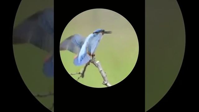 Мощный мини телескоп.Портативный зум HD 5000 м