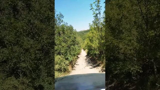 Вот это спуск, Геленджик