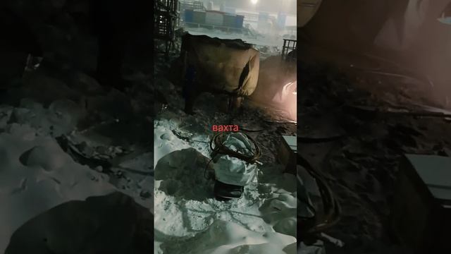 1000057842.mp4