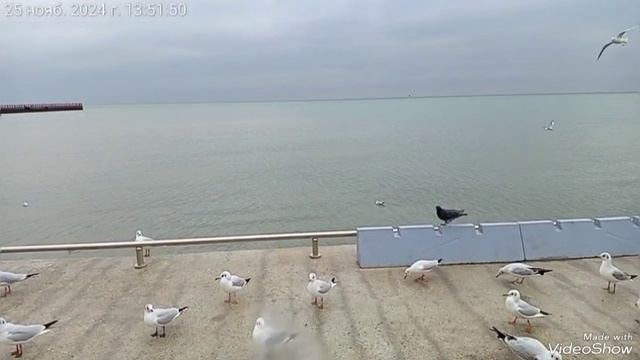 Мариуполь ⛵ Азовское море 🌊 набережная