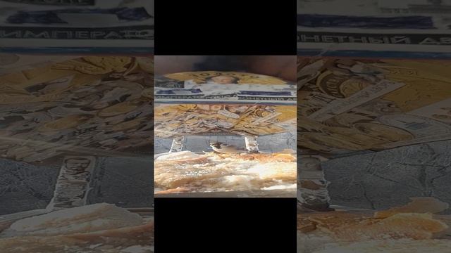 1000033592.mp4жизнь кормушки 25.11.2024г.
